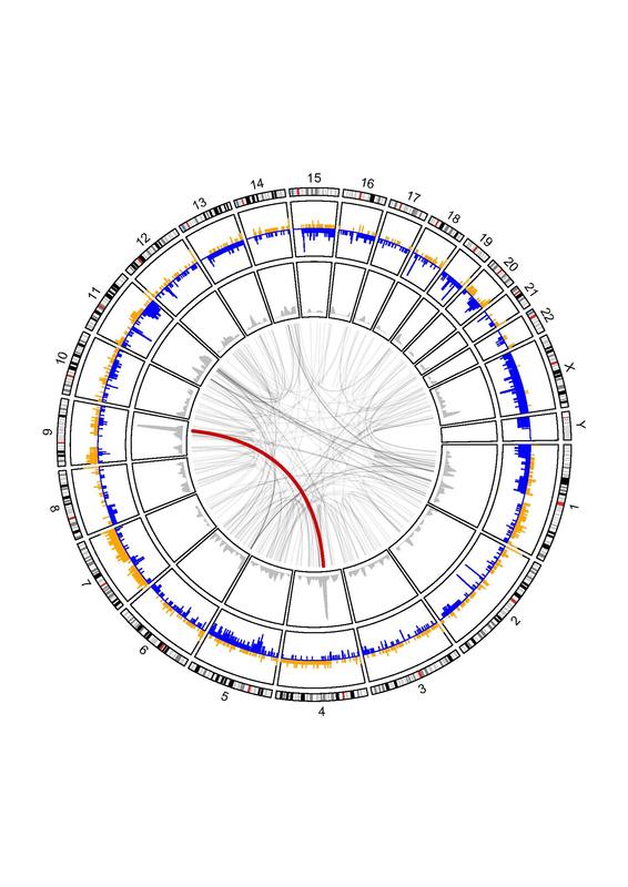 Die Abbildung zeigt die kumulativen Daten der Genomsequenzierungen von sechs verschiedenen Azinuszellkarzinomen. 