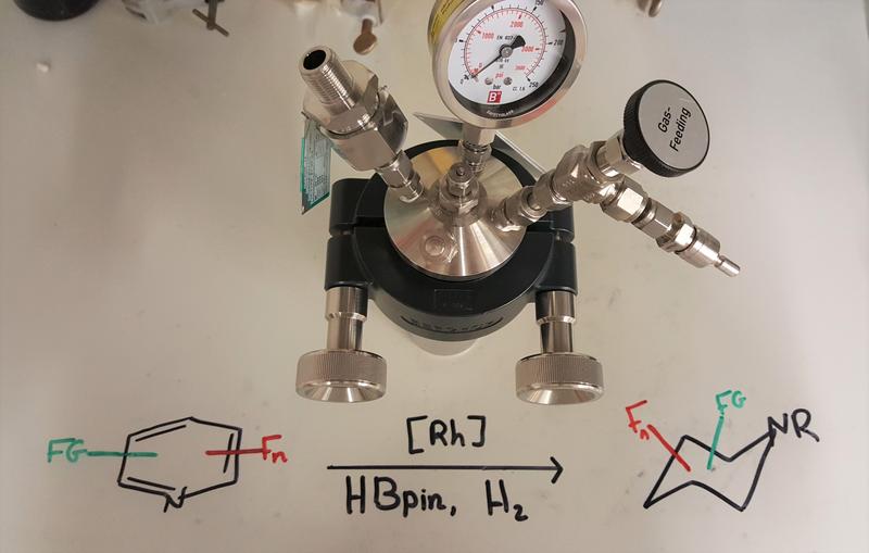 Druckgefäß (Autoklav) zur Durchführung der Hydrierung fluorierter Pyridine. Die Reaktionen werden bei einem Wasserstoffdruck von 50 bar durchgeführt.