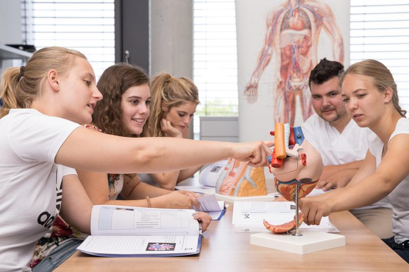 Studierende arbeiten in ihrer Selbstlernzeit mit einem Modell.