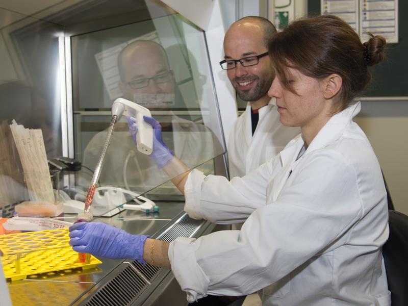 Erstautorin Stephanie Müller und Prof. Feige im Labor für Zelluläre Proteinbiochemie.