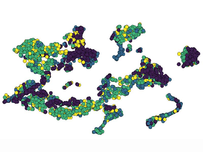 Umfassende Karte der Immunzell-Populationen während einer Entzündung im Zentralnerven-System. Jede Immunzelle ist ein Punkt.