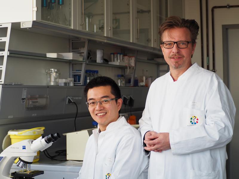 Prof. Dr. Jürgen C. Becker (r.) mit seinem Doktoranden Kaiji Fan, der ebenfalls an der Studie beteiligt war