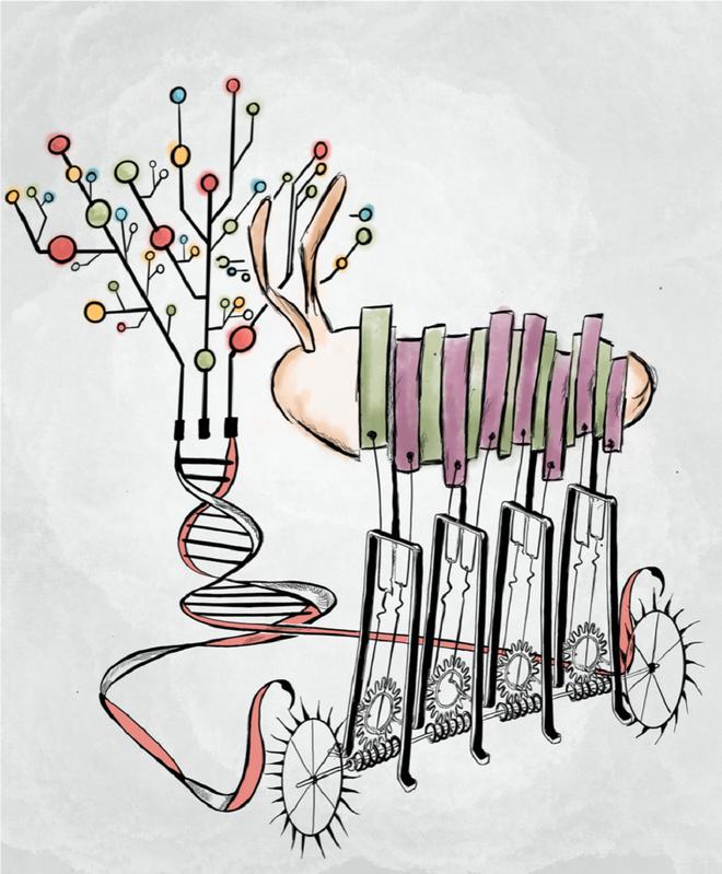 Künstlerische Darstellung der Genregulationsmaschinerie