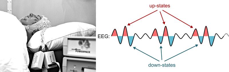 Links: Messung der Hirnströme im Schlaflabor mittels EEG. Rechts: Die Tiefschlafphase im EEG zeigt Gehirnzellen im aktiven («Up-state», rot) und passiven Zustand («Down-state», blau).
