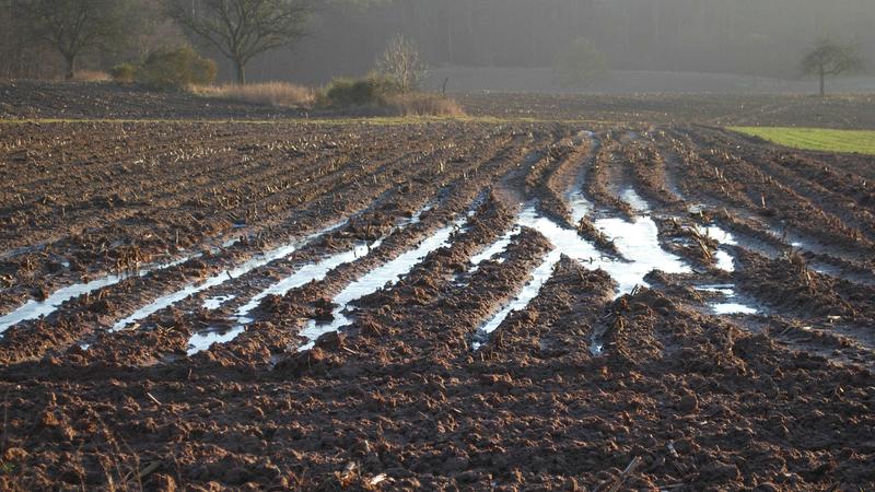 Wenn die Äcker zu feucht sind und sie dann mit landwirtschaftlichen Maschinen befahren werden, kann klimaschädliches Lachgas freigesetzt werden.