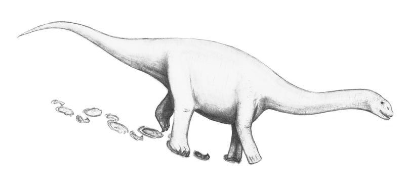 Lebendrekonstruktion des Fährtenerzeugers, eines frühen Sauropoden. 