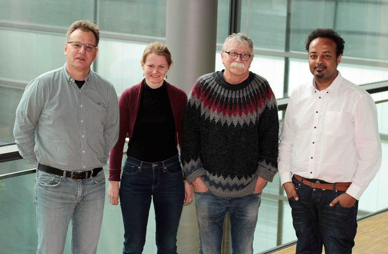 Forschende der Ulmer Universitätsmedizin haben das Immunsystem verjüngt (v.l.): Prof. Hartmut Geiger, Dr. Hanna Leins, Prof. Reinhold Schirmbeck und Juniorprof. Medhanie Mulaw