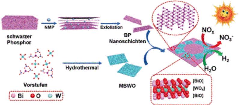 Aktiver Photokatalysator: 2D/2D-Heterostruktur aus schwarzem Phosphor und Bismuthwolframat 