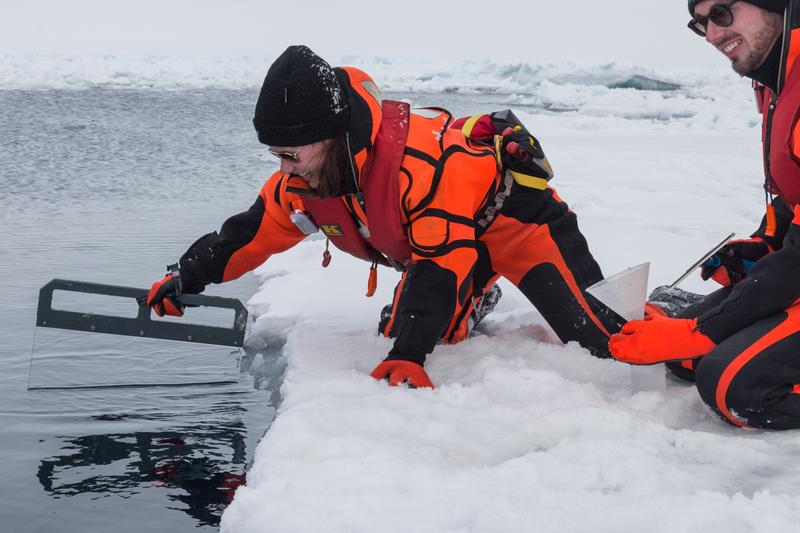 Mit einer Glasplatte werden Proben des Oberflächenfilms genommen.  Hier während der Polarstern-Expedition PS106 2017 im Arktischen Ozean nördlich von Spitzbergen. 
