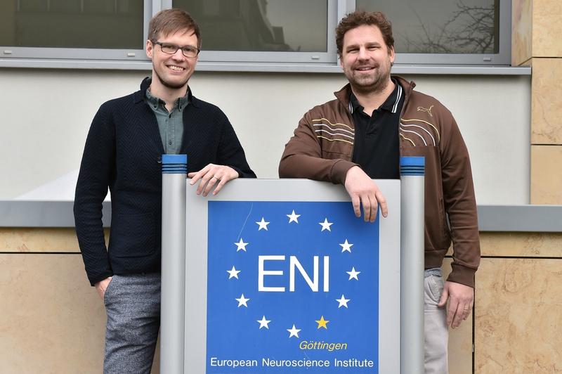 ERC Starting Grants für ENI-Göttingen-Nachwuchsgruppenleiter (v.l.): Dr. Caspar Schwiedrzik und Dr. Brett Carter.