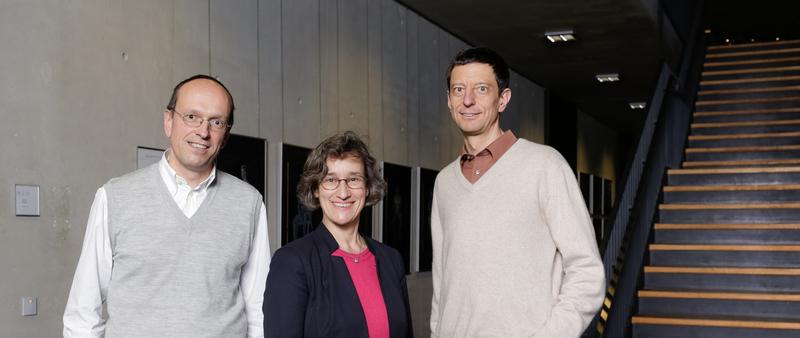 Ab Sommersemester 2019 die neuen Vizepräsideten der Hochschule Augsburg (v.l.): Prof. Dr. Helmut Wieser, Prof. Dr. Elisabeth Krön,  Prof. Dr. László Kovács. 