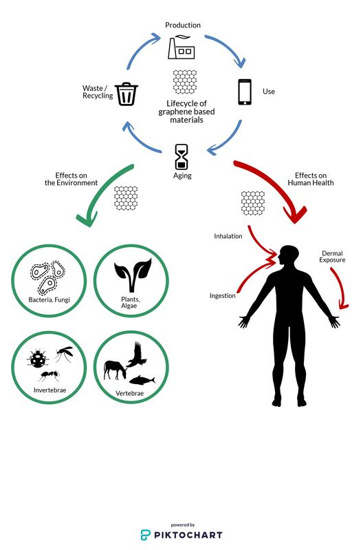 Biological effects under the microscope