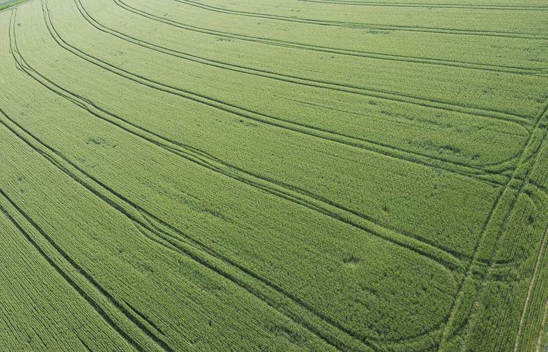 Zweischneidig: Grund für das zunehmende Grün sind Ertragssteigerungen in der Landwirtschaft – die Dünger und vermehrte Bewässerung brauchen. (Foto: Markus Breig, KIT)