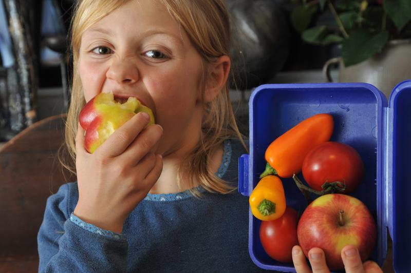 Gesunde Ernährung für die Schule präsentiert der Kompetenzcluster für Ernährung und kardiovaskuläre Gesundheit „nutriCARD“ am Gemeinschaftsstand „Forschung für die Zukunft“.