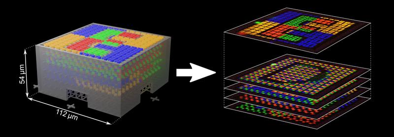 Mehrfarbig fluoreszierendes Sicherheitsmerkmal im Computerdesign (links) und seine einzelnen Ebenen unter dem Laser-Scanning-Mikroskop (rechts). 