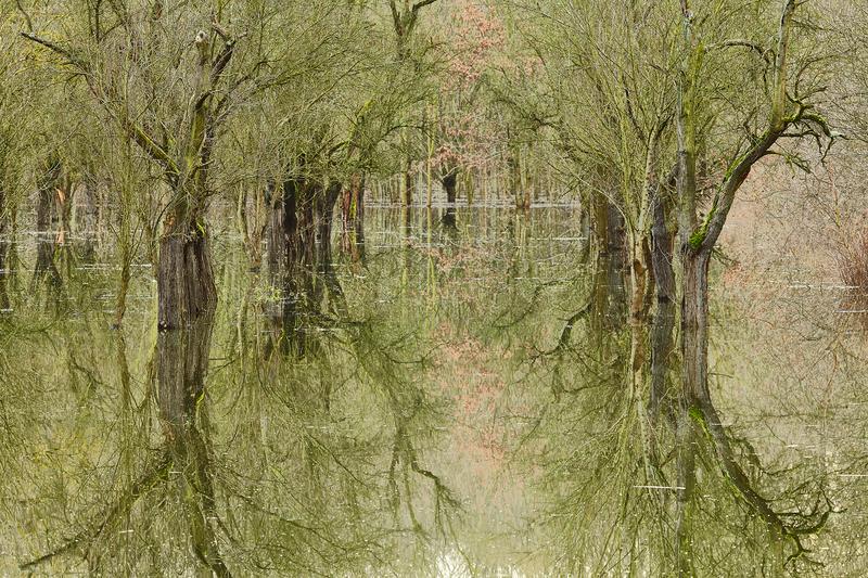 Siegauen bei Troisdorf