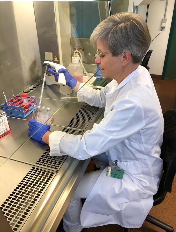 Susanne Brüggemann, MTA der Abteilung für Neuropathologie, bei der Anzüchtung von Hirntumorzellen im Labor.