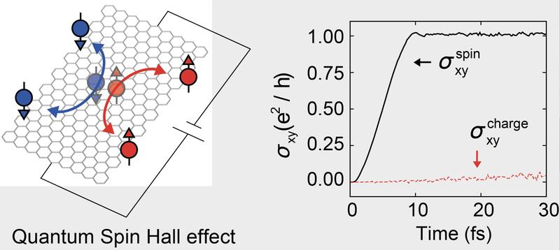 The exact opposite transversal flow of spin-up and spin-down electrons, leading to zero charge Hall conductivity but with a finite quantized spin Hall conductivity.