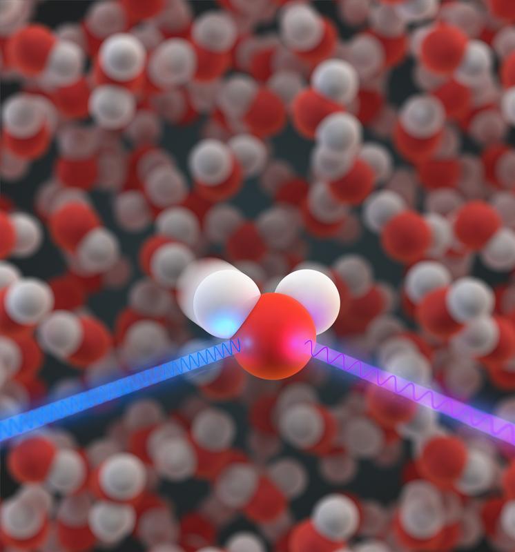 Mit Röntgenlicht (blau) werden Wassermoleküle angeregt. Aus dem abgestrahlten Licht (lila) lassen sich Informationen über Wasserstoffbrücken gewinnen. 