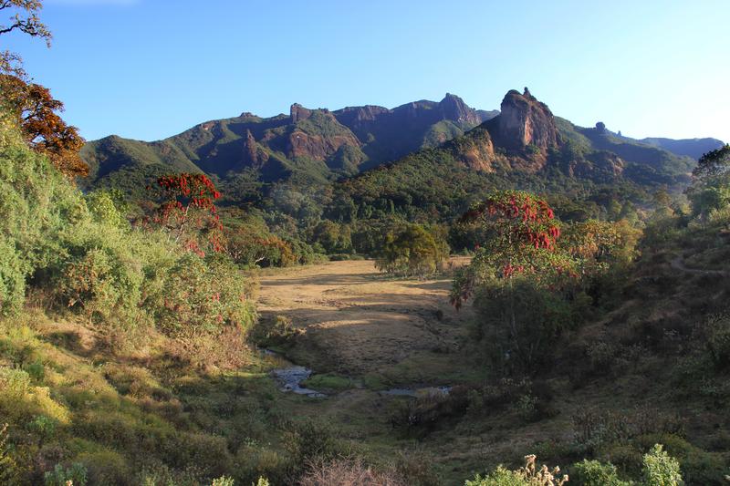 Ein anderes Beispiel für ein Gebiet mit besonders hoher Variation an Waldtypen – und entsprechend hoher regionaler Artenvielfalt – ist das bergige Waldgebiet Harenna in Äthiopien. 