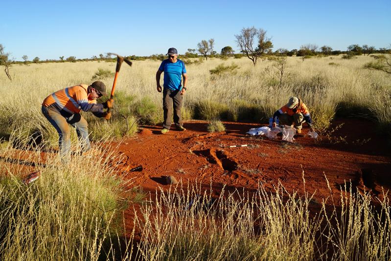 Excavations in a fairy circle. Three of the co-authors of the study are Dr Todd E. Erickson, Dr Hezi Yizhaq and Dr Miriam Muñoz-Rojas (from left to right).