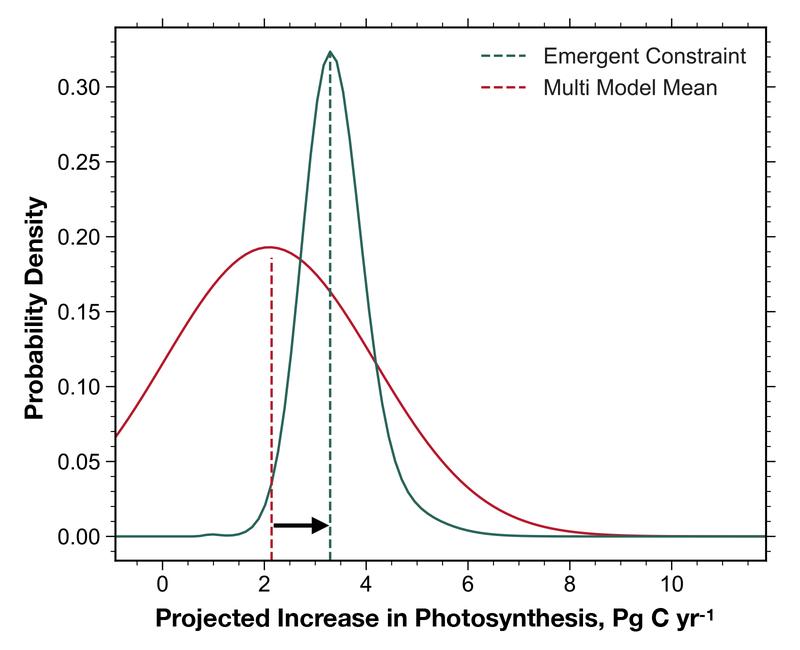 Wahrscheinlichkeitsdichtefunktionen des prognostizierten Anstiegs der photosynthetischen Kohlenstofffixierung bei einer Verdoppelung der atmosphärischen CO2-Konzentration. 
