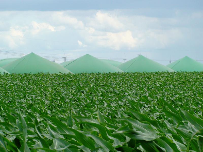 Der Großteil der bestehenden Biogasanlagen sind Rührkesselreaktoren.