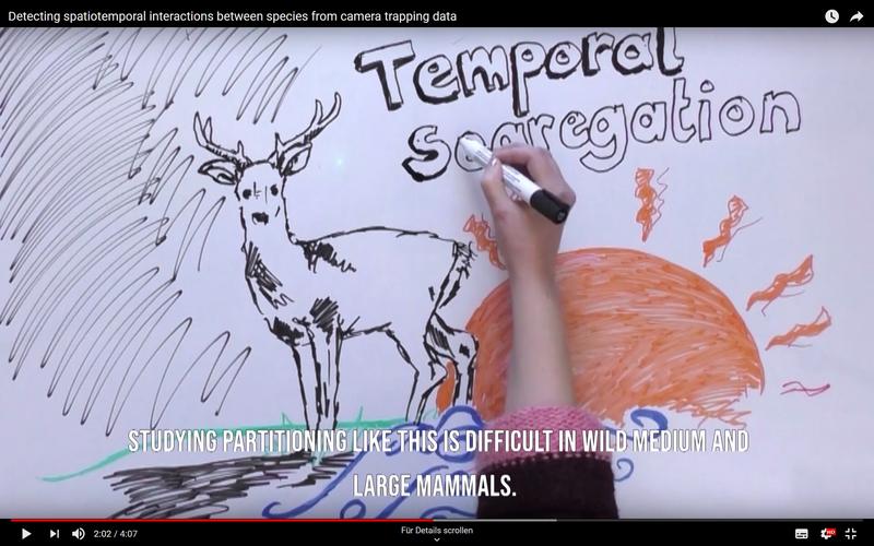 Detecting spatiotemporal interactions between species from camera trapping data