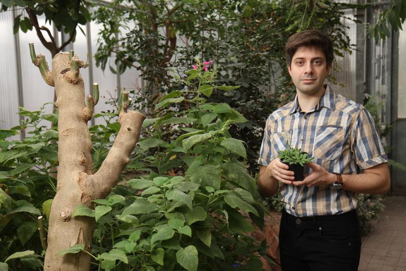 Trösch untersucht den Abbau von bestimmten Rezeptoren in der Membran von Chloroplasten.