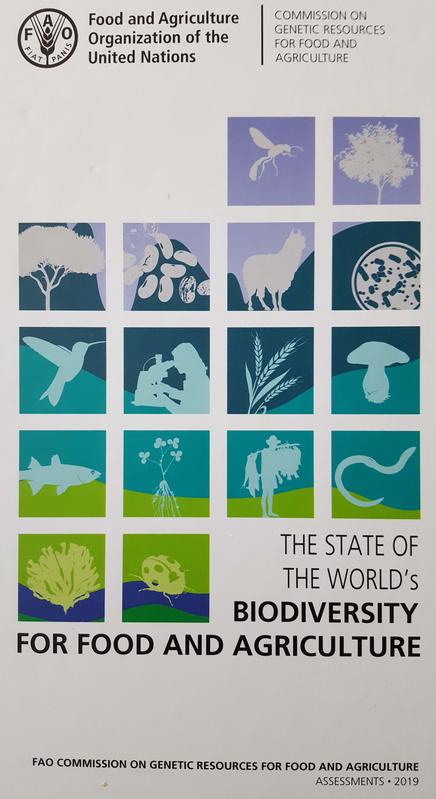 Erster Weltzustandsbericht für Biodiversität in  Landwirtschaft und Ernährung 