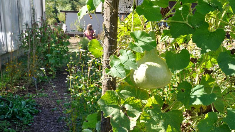 An der Uni Kassel findet vom 5. bis 8. März 2019 die 15. Wissenschaftstagung Ökologischer Landbau statt.