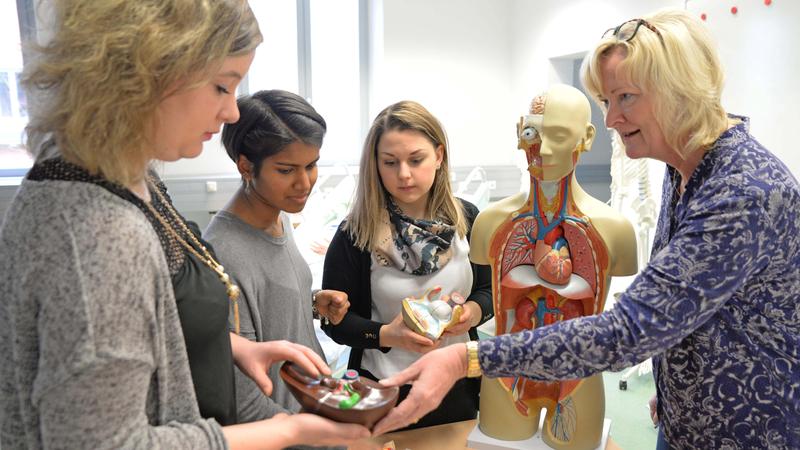 Mit dem neuen Master „Interprofessionelle Gesundheitsversorgung“ schafft die Universität Trier ein erweitertes Angebot zu dem bereits bestehenden dualen Bachelor (B.Sc.) „Klinischer Pflege“.