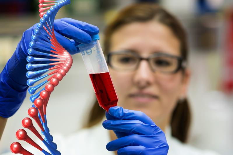 Tumor-DNA im Blut nachweisen, um früher als bisher festzustellen, dass eine Krebserkrankung entsteht – den Weg dafür ebnen wollen die Forscher um PD Dr. Weber mit einem neuen Forschungsverbund.. 