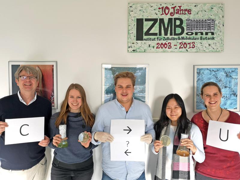 Volker Knoop, Elena Lesch, Bastian Oldenkott, Yingying Yang und Mareike Schallenberg  erforschen das RNA-Editing: ein Baustein (Cytidin, C) wird chemisch in einen anderen (Uridin, U) umgewandelt. 