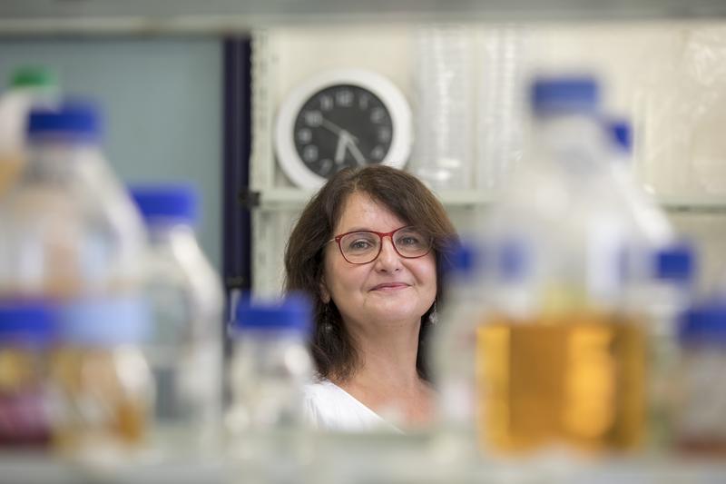 Gabriele Berg, Leiterin des Instituts für Umweltbiotechnologie der TU Graz