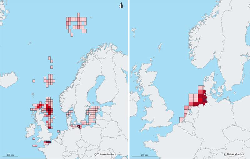 Jährliche Anlandungen der deutschen Fischerei. Links: Hering, rechts: Nordseekrabbe