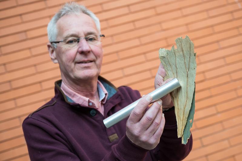 Mit dem Magnetfeldsensor im Zylinder lässt sich auch der Magnetismus von Blättern messen: Uwe Hartmann demonstriert dies an einem getrockneten Lotus-Blatt.