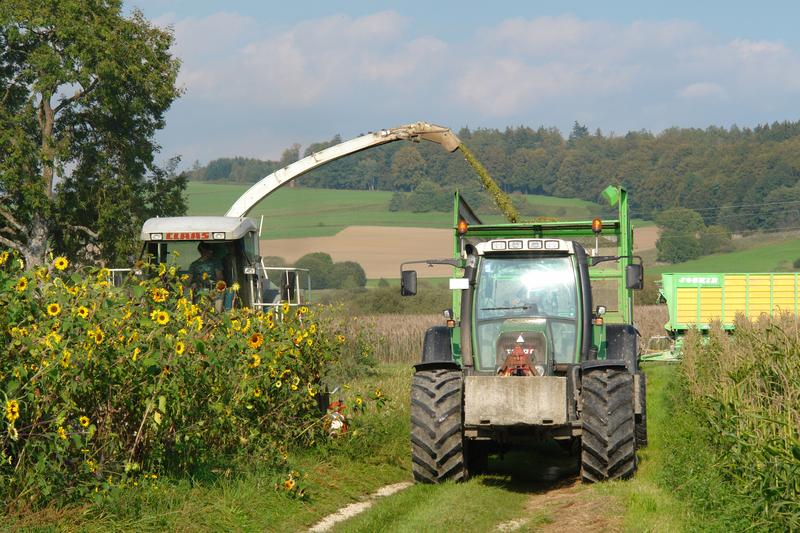 Ernte für Biogasgewinnung. Bildquelle: Jochen Goedecke