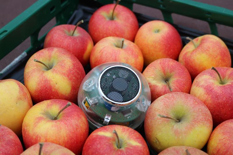 Die neue Respirationsmesskugel eignet sich für den mobilen Einsatz im Obstlager.