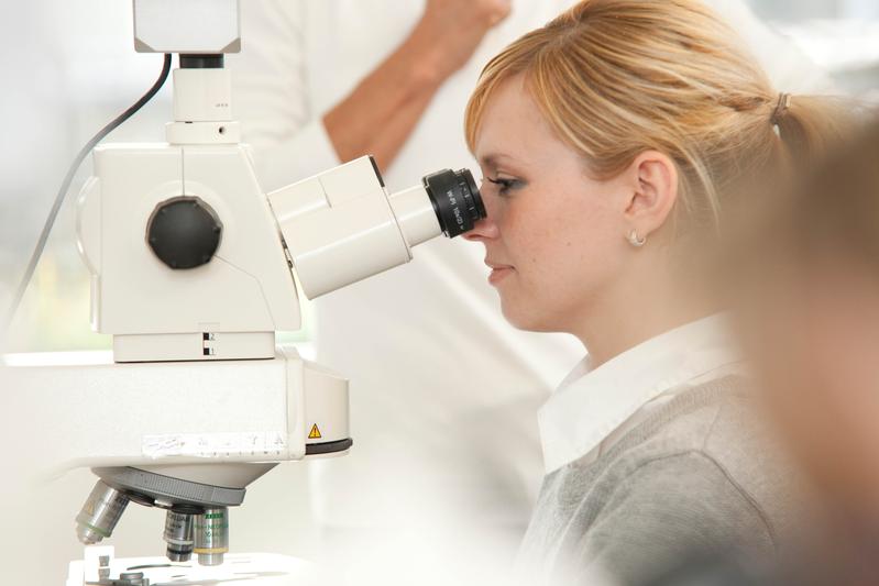 Mikroskopieren gehört zum Berufsalltag von Medizinisch-Technischen Laboratoriumsassistent*innen. MTLA fertigen zum Beispiel Schnitte von Gewebeproben an und färben diese ein.