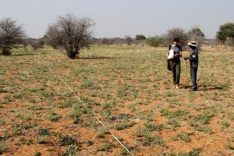 Welche Erfahrungen haben Farmer vor Ort zu Kipppunkten der Desertifikation? Dr. Diego Menestrey, Ethnologe an der Universität zu Köln, im Gespräch mit einem namibischen Farmer. 