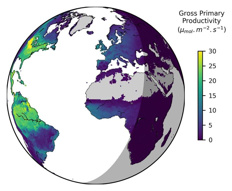 Für den Zeitraum einer halben Stunde sieht man die CO2-Aufnahme der Vegetation durch Photosynthese. In der Nacht, symbolisiert durch den Scahtten, kommt die lichtabhängige Photosynthese zum Erliegen.