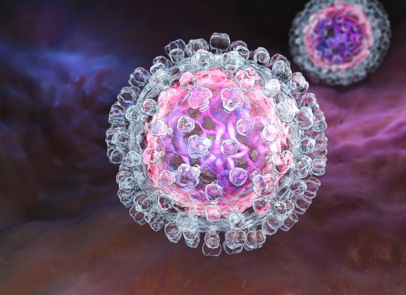 Illustration eines Hepatitis C-Virus