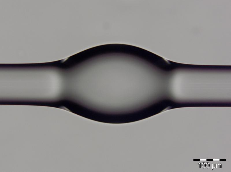 Abbildung eines strukturierten Glas-Mikroflaschenresonators