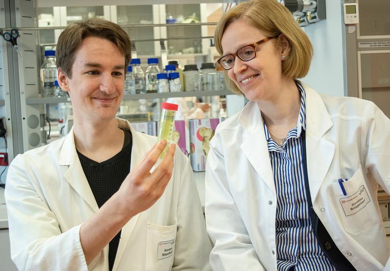 Kommt das „biologische Pflaster“? Ein Forscherteam der Universität Bremen um Professorin Dorothea Brüggemann (rechts) und den Doktoranden Karsten Stapelfeldt hat jetzt ein Fibrinogen-Netzwerk im 
