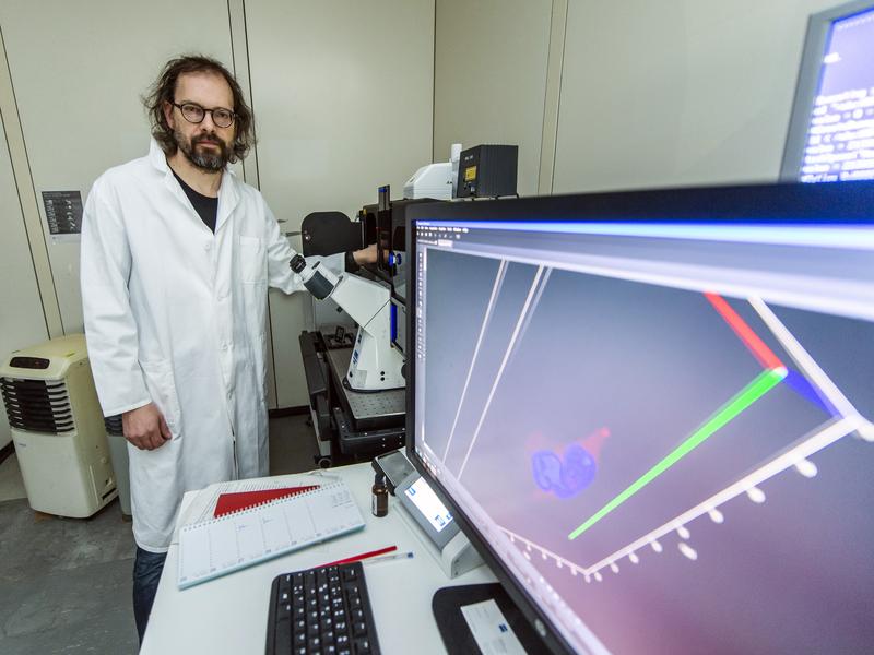 Im Labor: Prof. Dr. Günter Mayer vom Life & Medical Sciences Institut (LIMES) der Universität Bonn am Konfokalen Laser Scanning Mikroskop. 