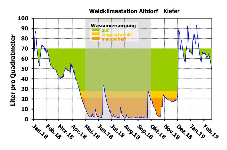 Wasserverfügbarkeit am Messort WKS Altdorf: Tageswerte des verfügbaren Wasservorrats im durchwurzelten Waldboden, angegeben in Litern pro Quadratmeter, dargestellt als Verlaufskurve bis Februar 2019.