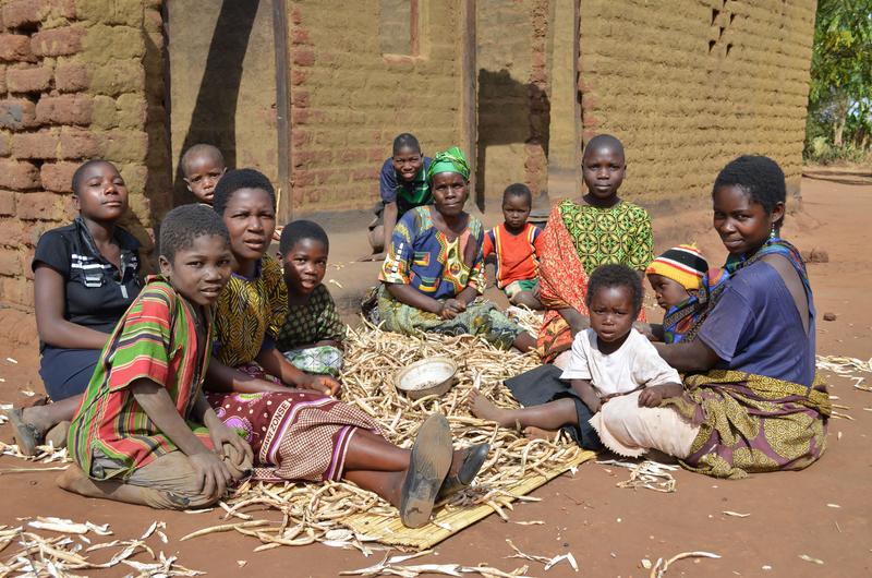 Neue Züchtungstechnologien können helfen, die Landwirtschaft in Entwicklungsländern ertragreicher zu machen. Dieses Foto zeigt Kleinbauern in Malawi, die Erbsen vor ihrem Gehöft schälen.