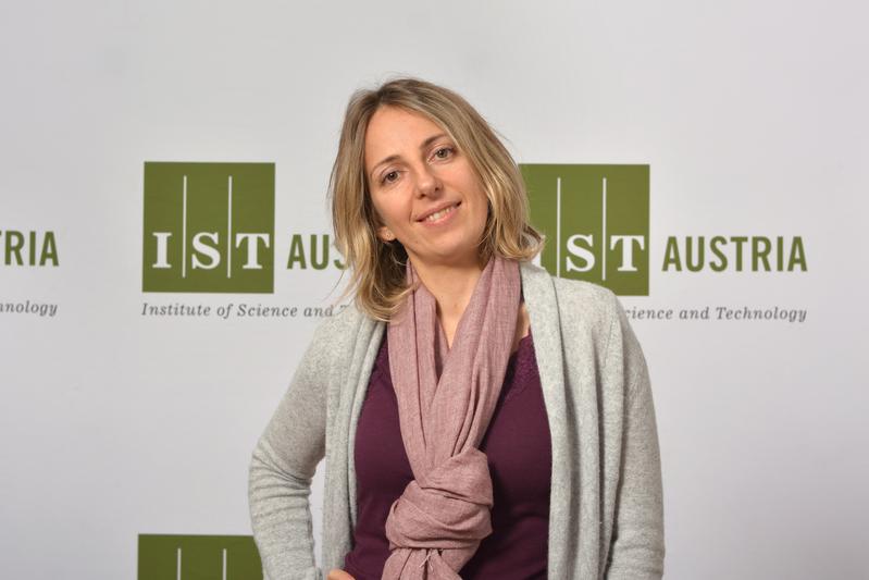 Die Neurowissenschafterin Gaia Novarino untersucht am IST Austria die genetischen Grundlagen für die Entstehung von Autismus 