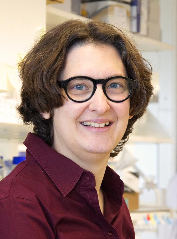 Prof. Dr. Regina Fluhrer ist seit dem 1. April 2019 Inhaberin des Lehrstuhls für Biochemie und Molekularbiologie an der Medizinischen Fakultät der Universität Augsburg.r